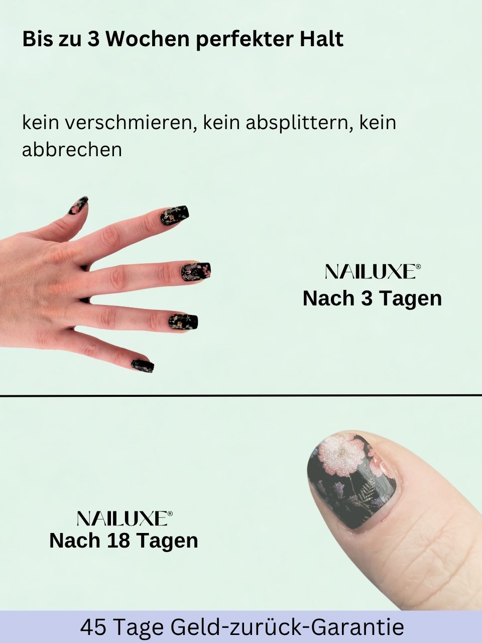 OSTER SALE 3er UV Set + VersieglungsSet