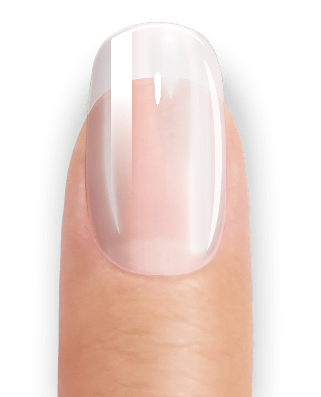 künstliche nägel durchsichtig Transparent UV – Dezente Nagelstreifen für natürliche Schönheit