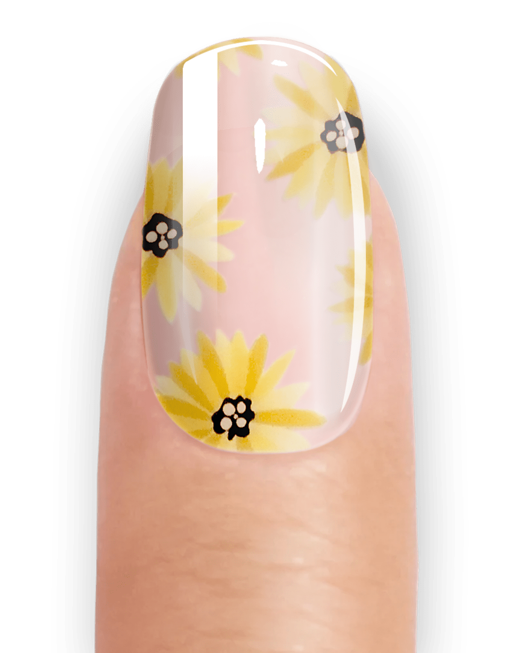 TRANSPARENT SUNFLOWER - UV GEL STRIPS