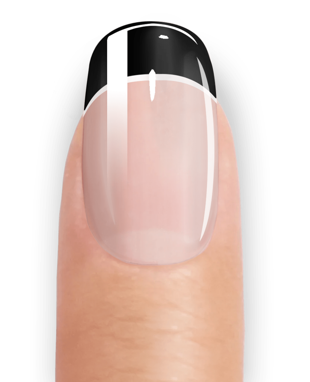 FRENCH BLACK & WHITE - UV GEL STRIPS