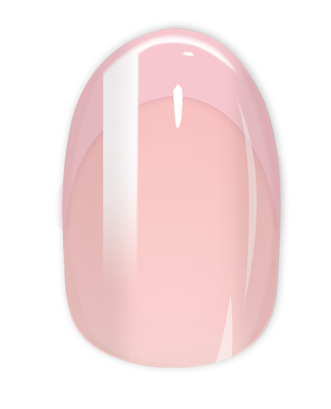 Medium Round FRENCH JELLY LOOP
