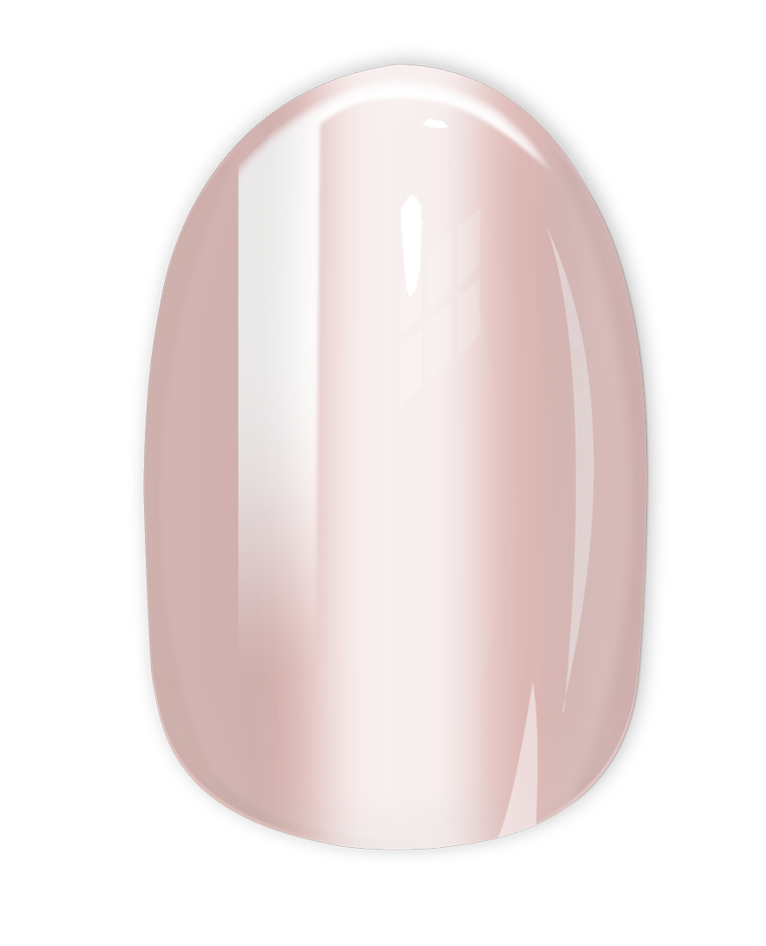 Medium Round PROSECCO
