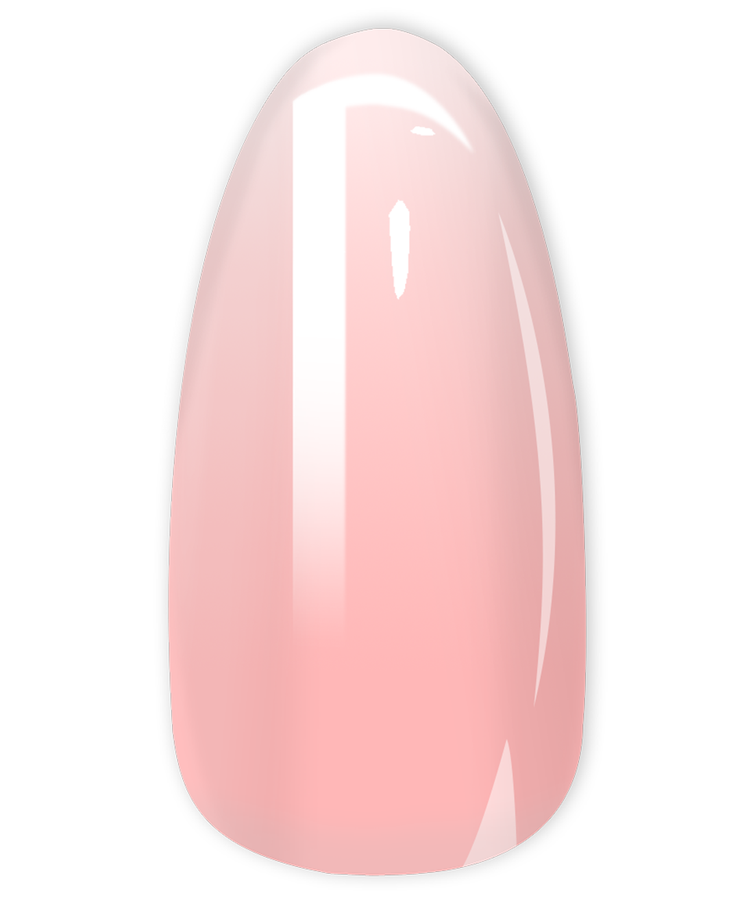 Medium Almond BABY BOOMER