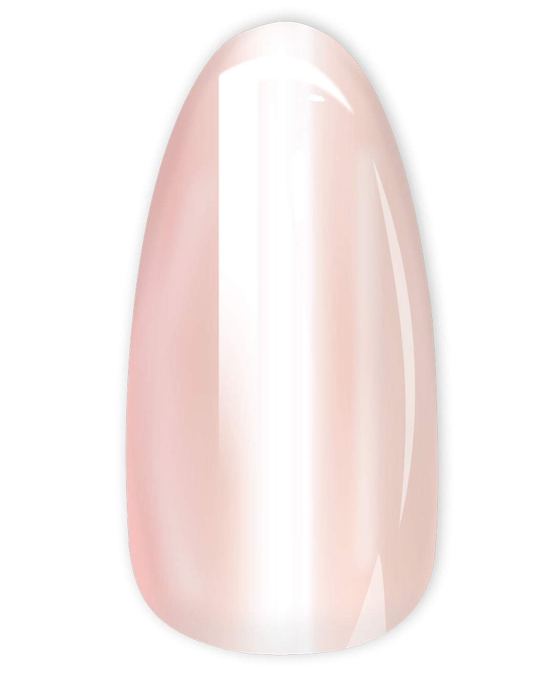 Medium Almond HARMONY GLAZED