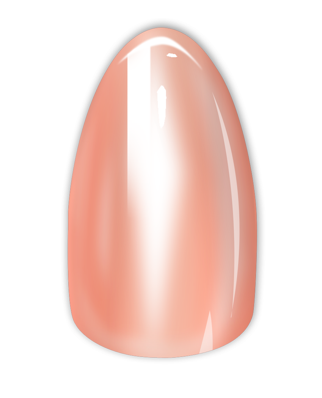 Short Almond PROSECCO