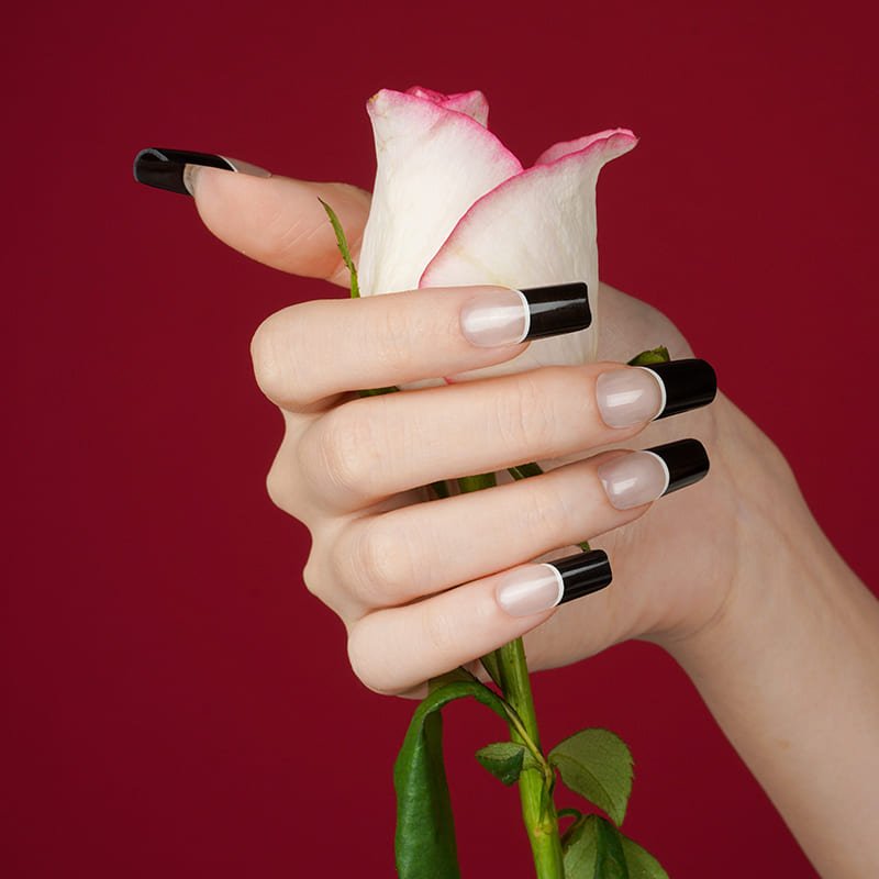 FRENCH BLACK & WHITE UV - NAILUXE