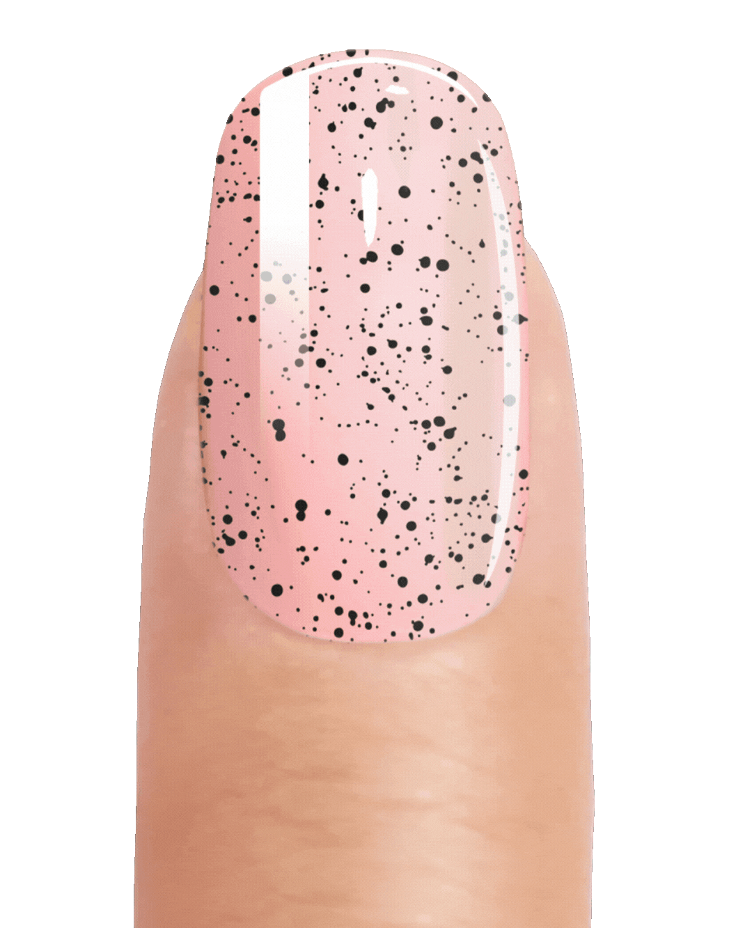 SPECKLED DREAM